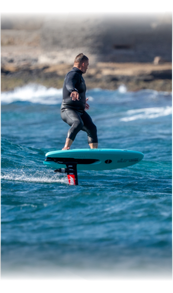 kategoria foil assist